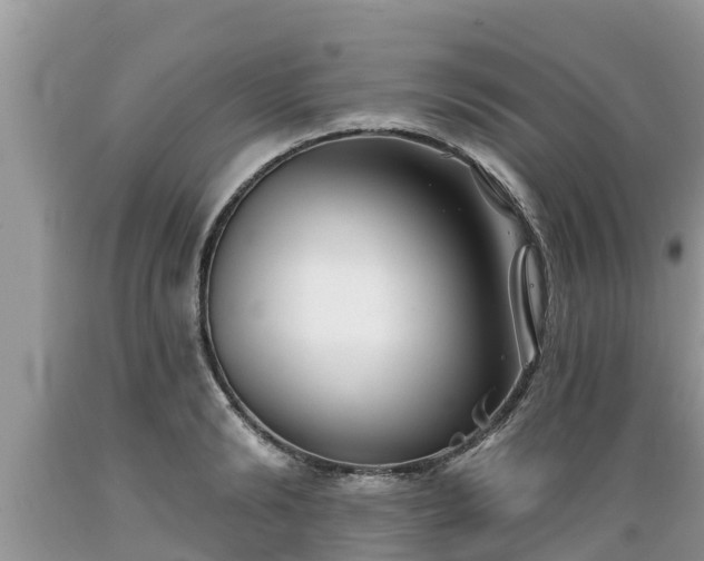 X0000089340894200706221115