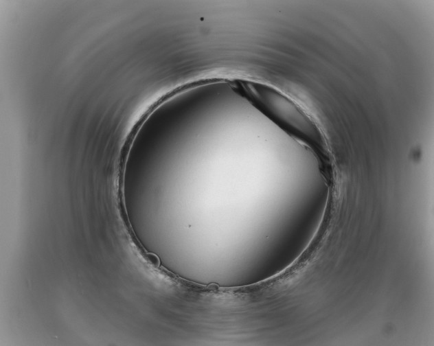 X0000089340896200706221115
