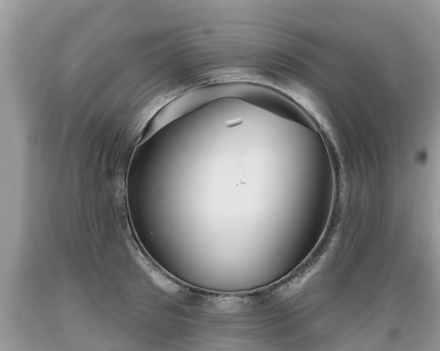 X0000089340897200706221115