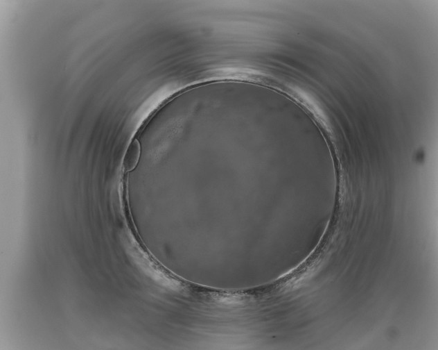 X0000089340899200706221115