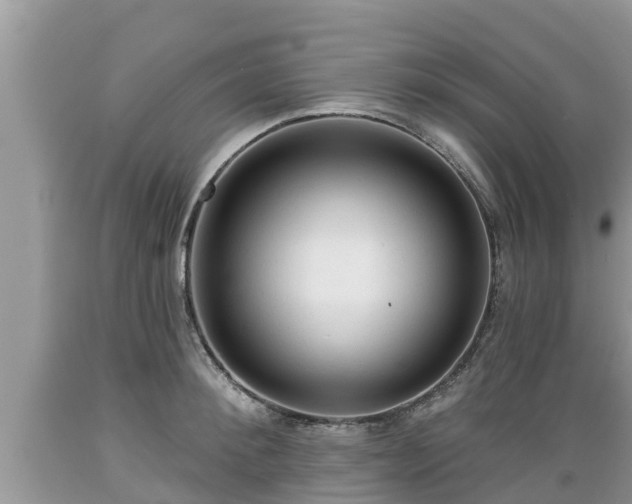 X0000089340900200706221115