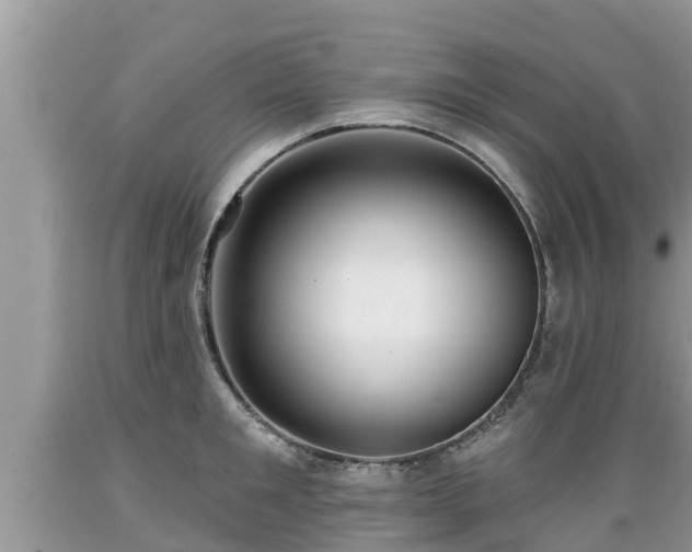 X0000089340901200706221115