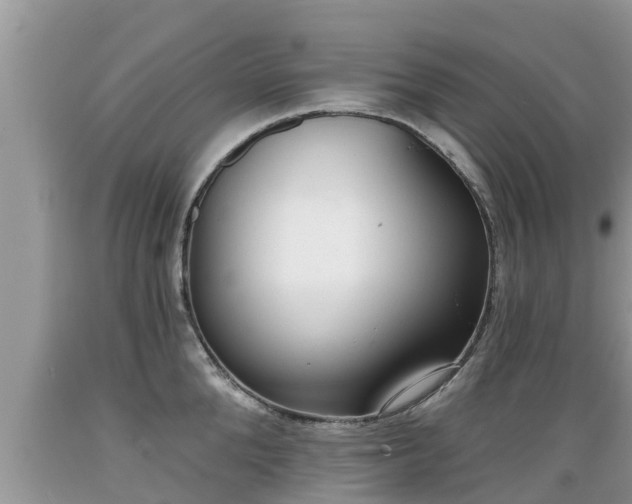 X0000089340904200706221115