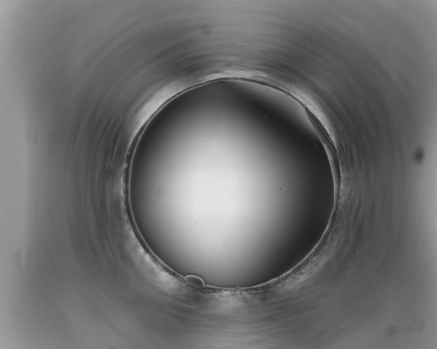 X0000089340906200706221115