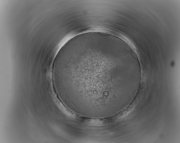 X0000089340907200706221115