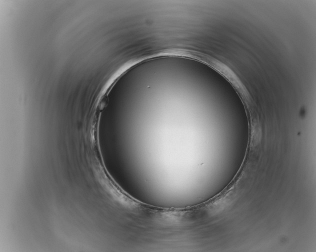 X0000089340908200706221115