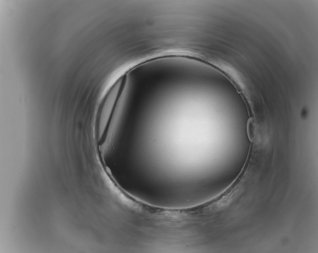 X0000089340910200706221115
