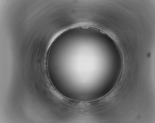 X0000089340912200706221115