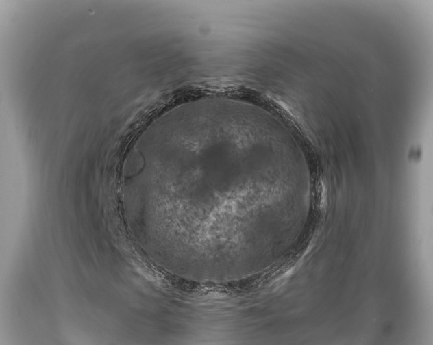 X0000089340913200706221114