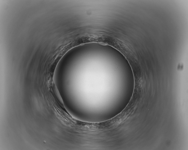 X0000089340914200706221114