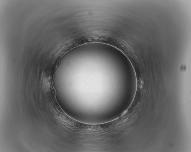 X0000089340915200706221114