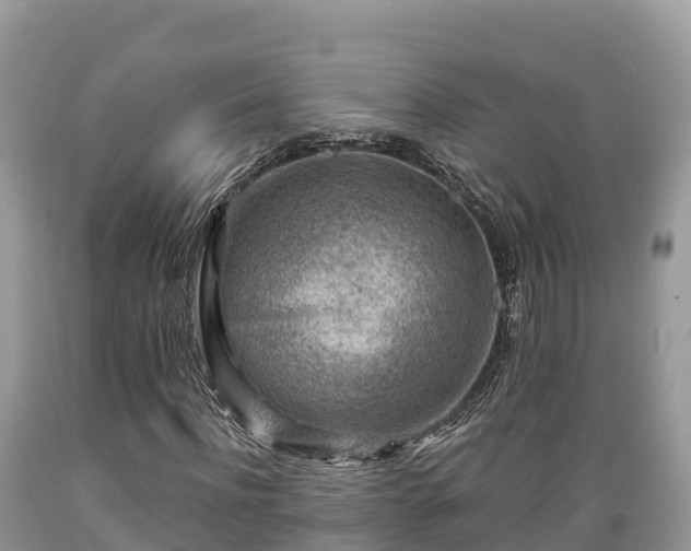X0000089340916200706221114