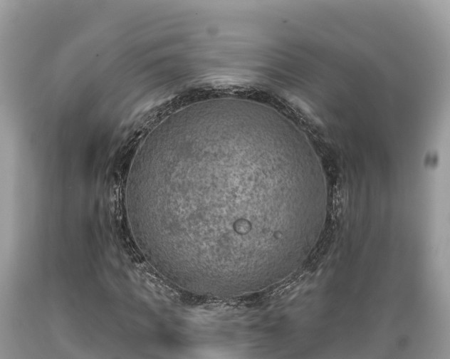 X0000089340917200706221114