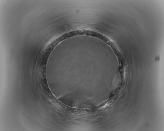 X0000089340919200706221114