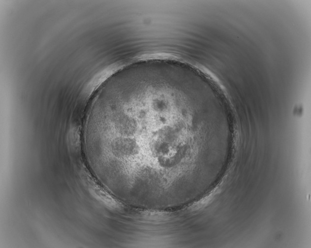 X0000089340921200706221114