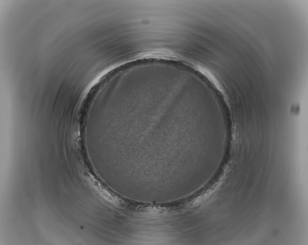 X0000089340923200706221114