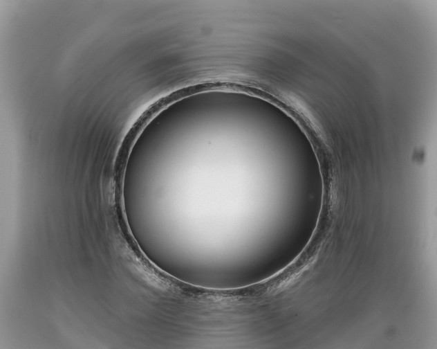 X0000089340924200706221114