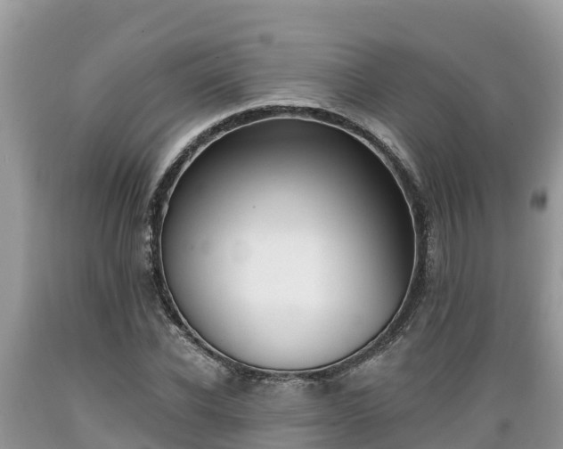 X0000089340926200706221114
