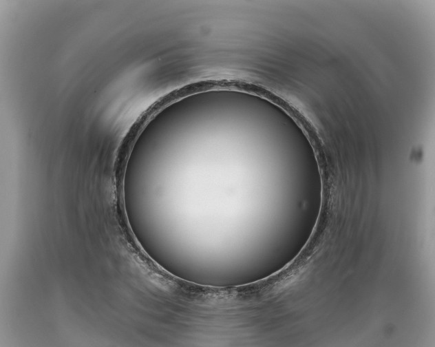 X0000089340927200706221114