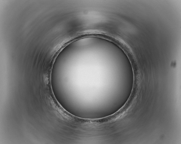 X0000089340929200706221114