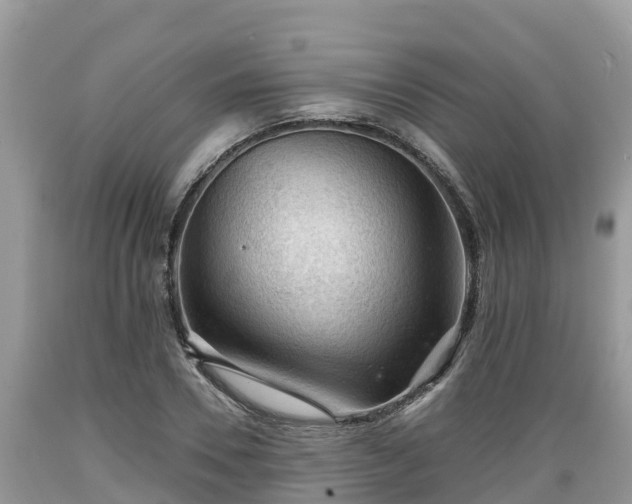 X0000089340930200706221114