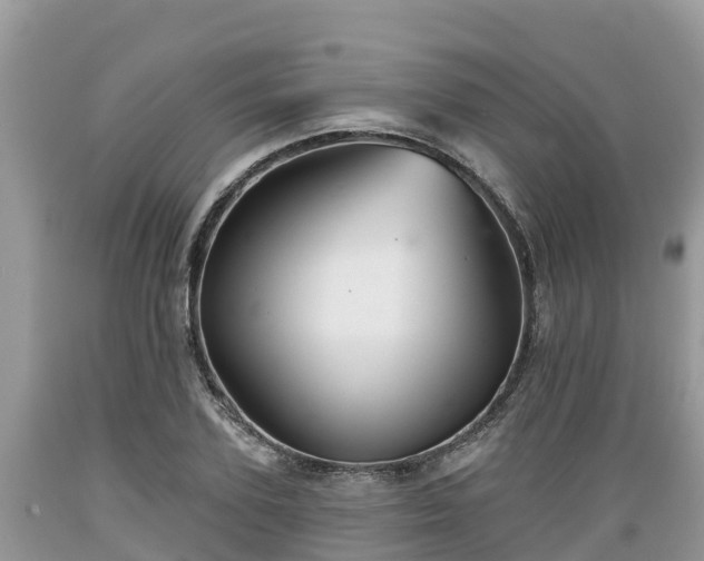 X0000089340931200706221114