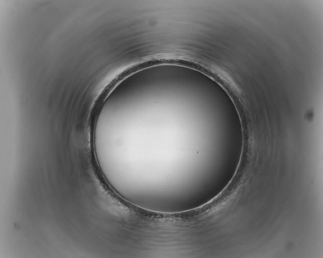 X0000089340934200706221114