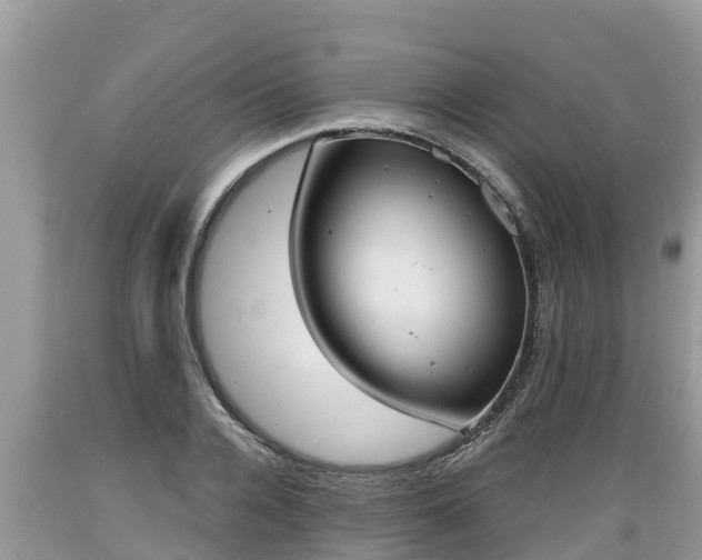 X0000089340936200706221114