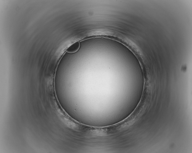 X0000089340937200706221114