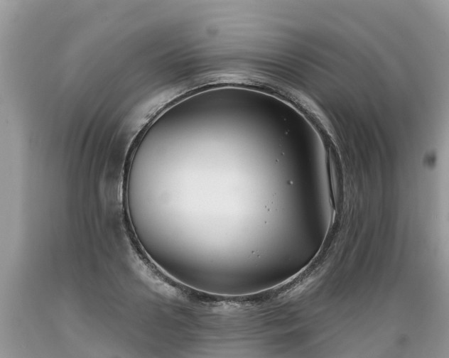 X0000089340938200706221114