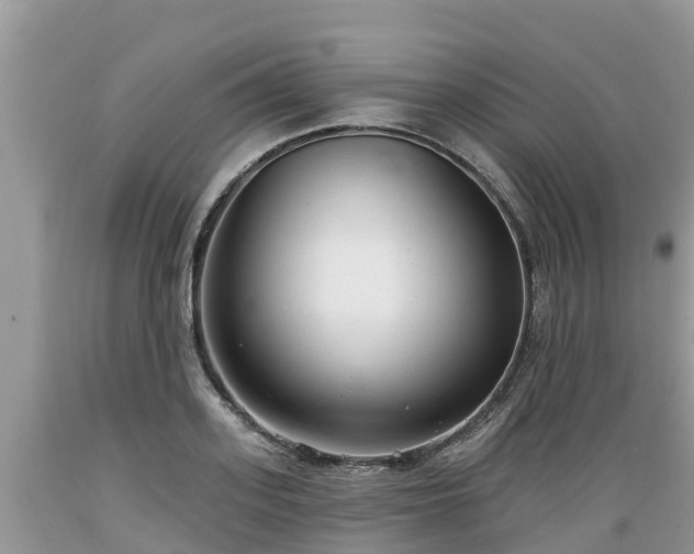 X0000089340939200706221114