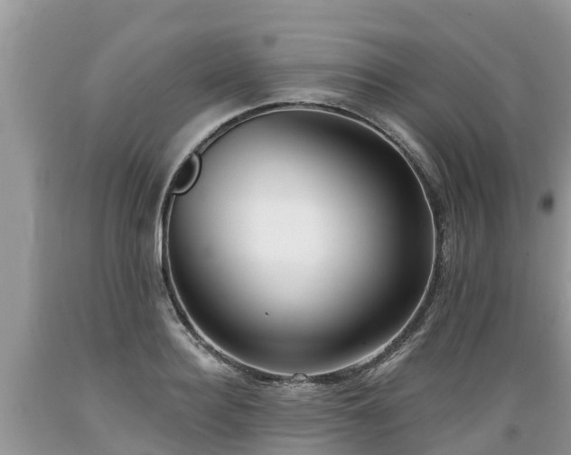 X0000089340940200706221114