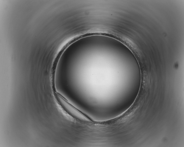 X0000089340942200706221115