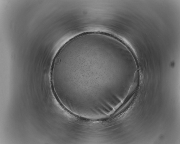 X0000089340943200706221115