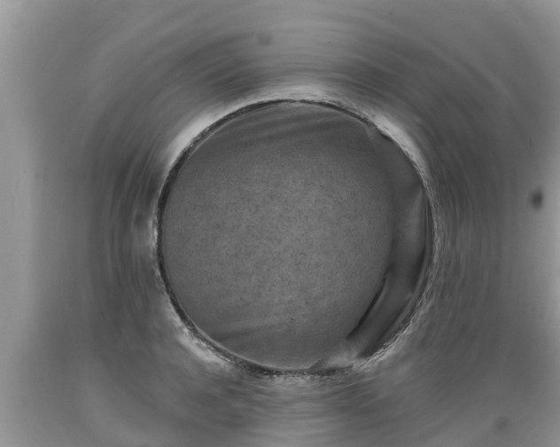 X0000089340944200706221115