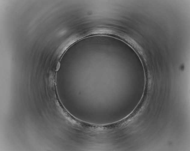 X0000089340945200706221115