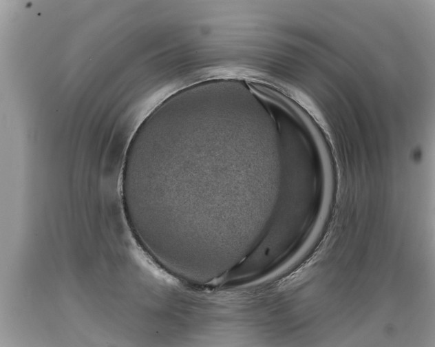 X0000089340946200706221115
