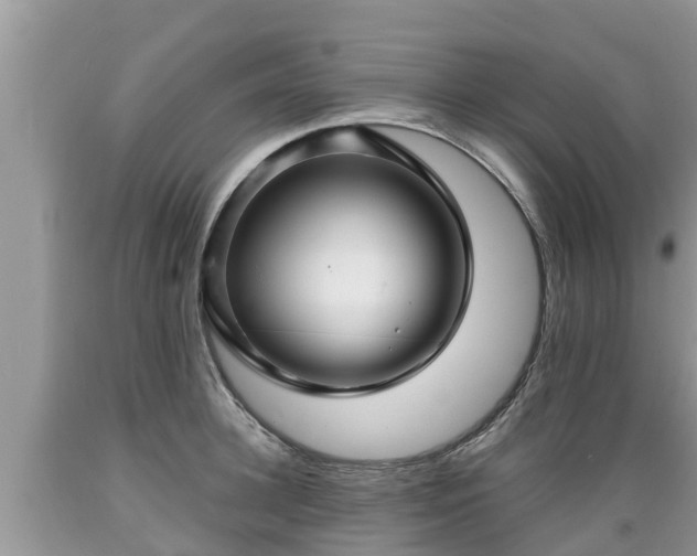 X0000089340948200706221115