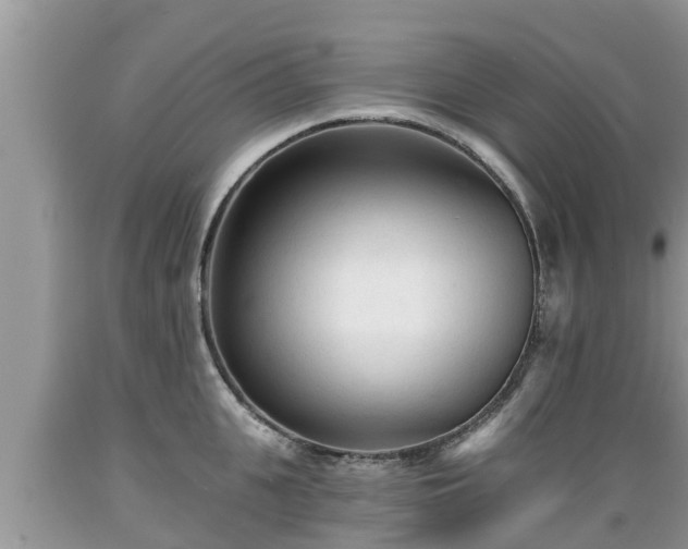 X0000089340951200706221115