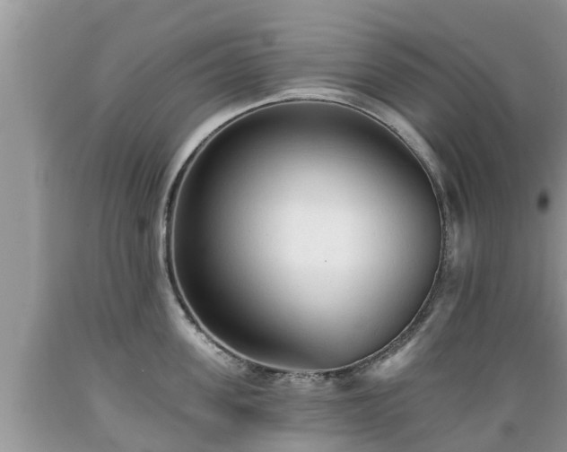 X0000089340955200706221115