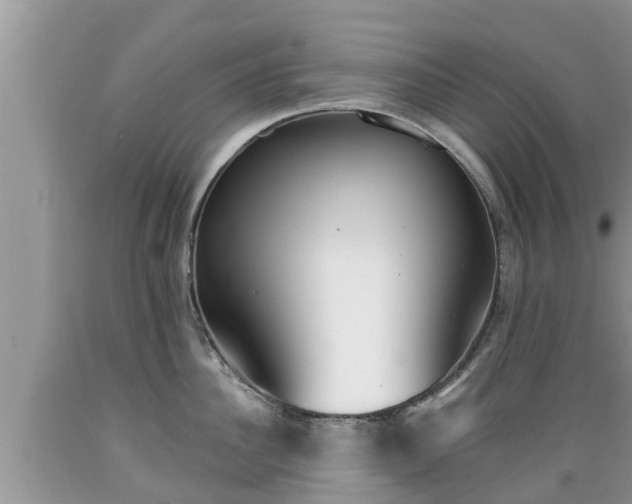 X0000089340956200706221115