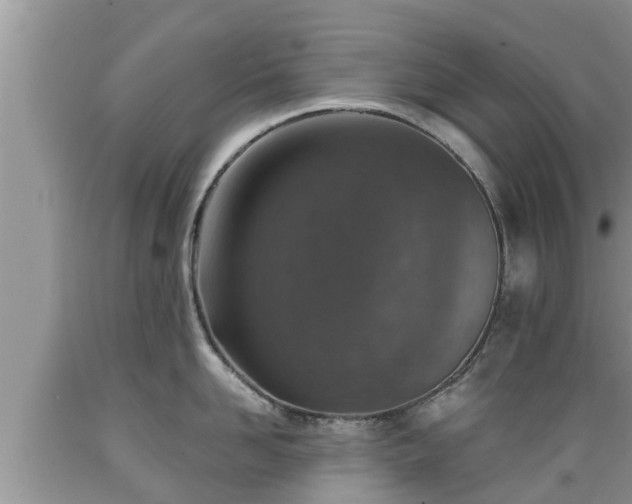 X0000089340958200706221115
