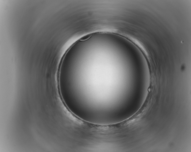 X0000089340959200706221115