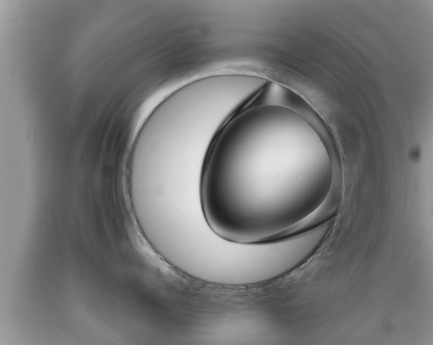 X0000089340960200706221115