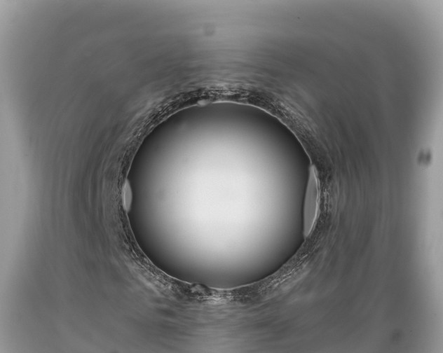 X0000089340961200706221114