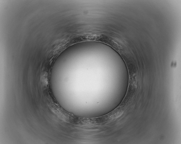 X0000089340962200706221114