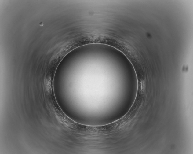 X0000089340963200706221114