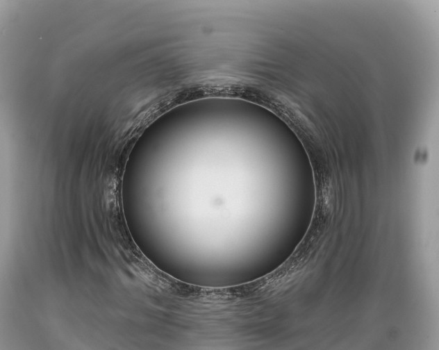 X0000089340964200706221114