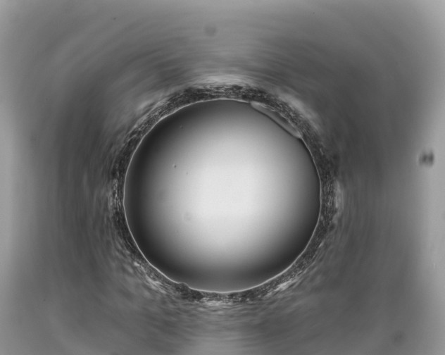 X0000089340965200706221114