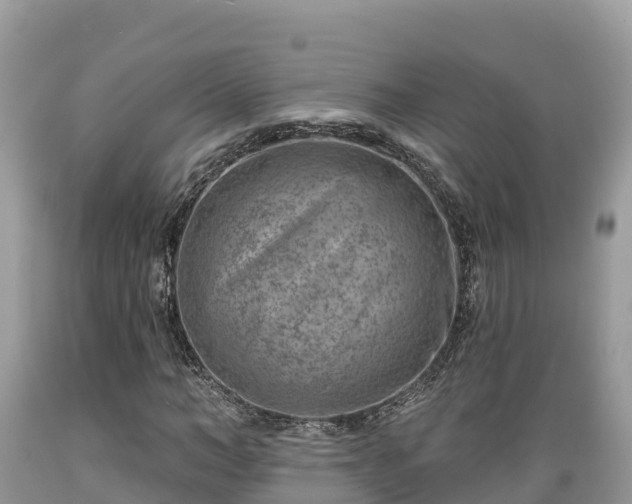 X0000089340966200706221114